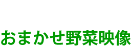おまかせ野菜映像
