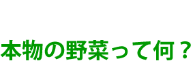 本物の野菜って何?