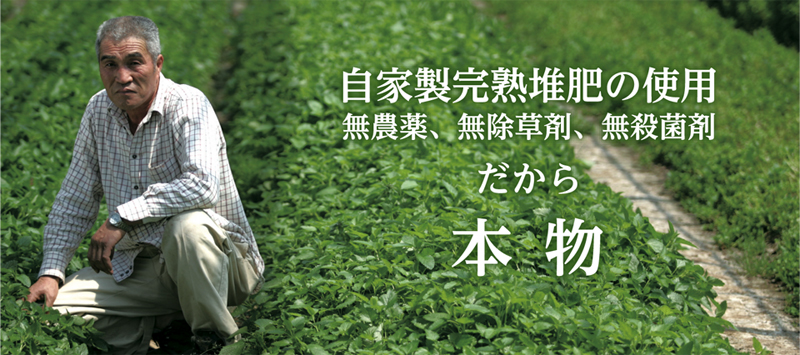 自家製完熟堆肥の使用。そして無農薬、無除草剤、無殺菌剤。だから本物